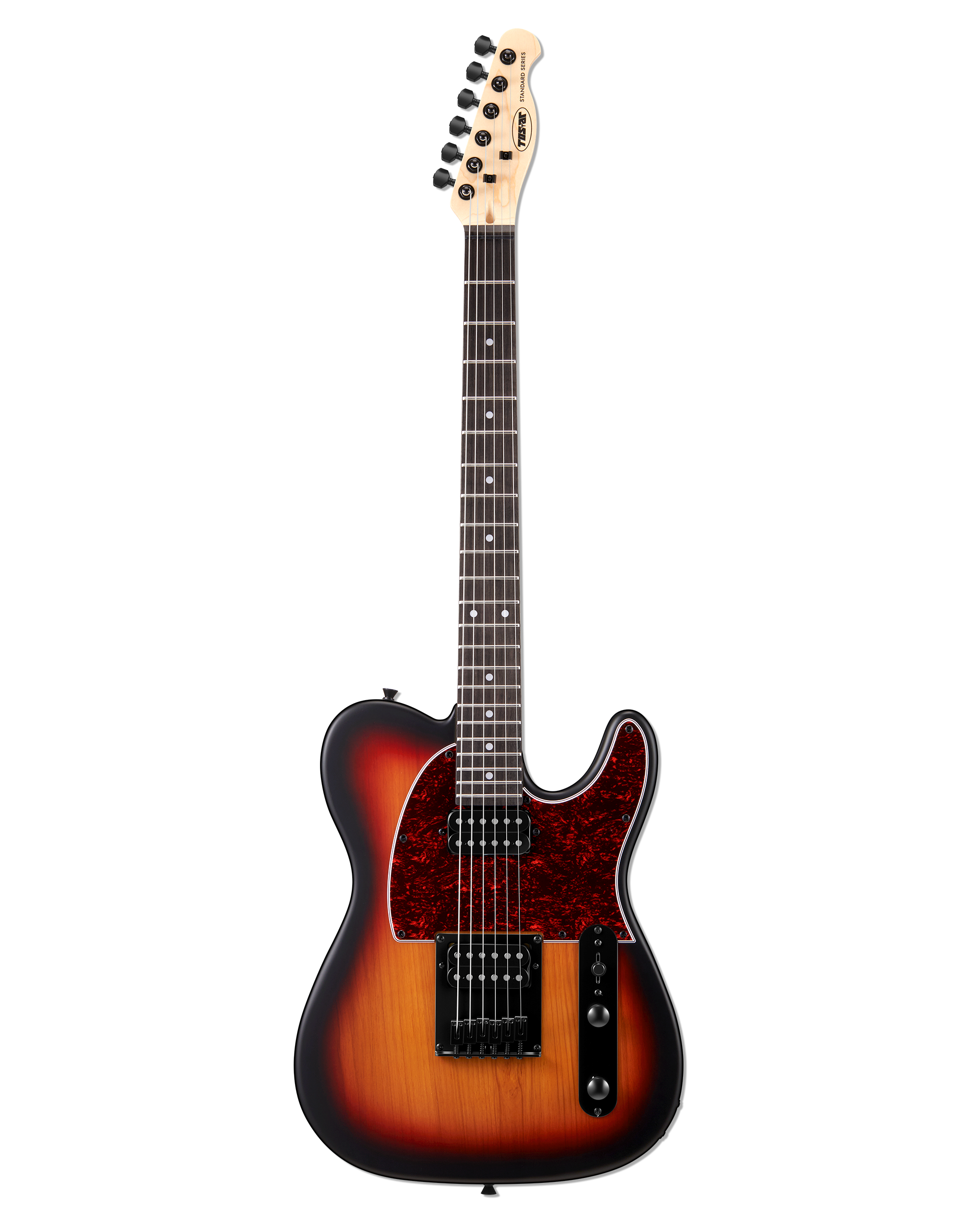 Tostar TTE-150 TE Electric Guitar Set