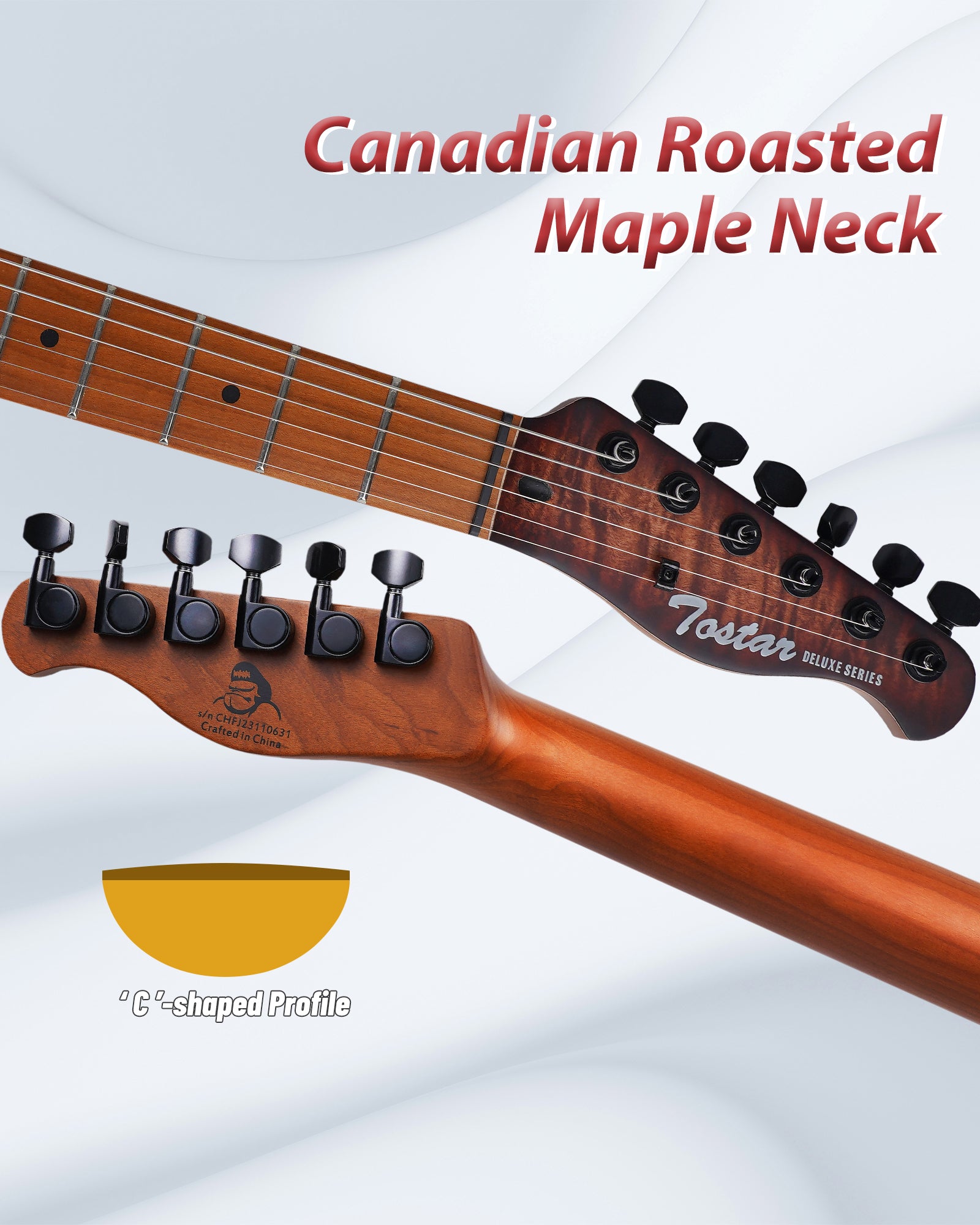 Tostar TTE-300 TE Electric Guitar