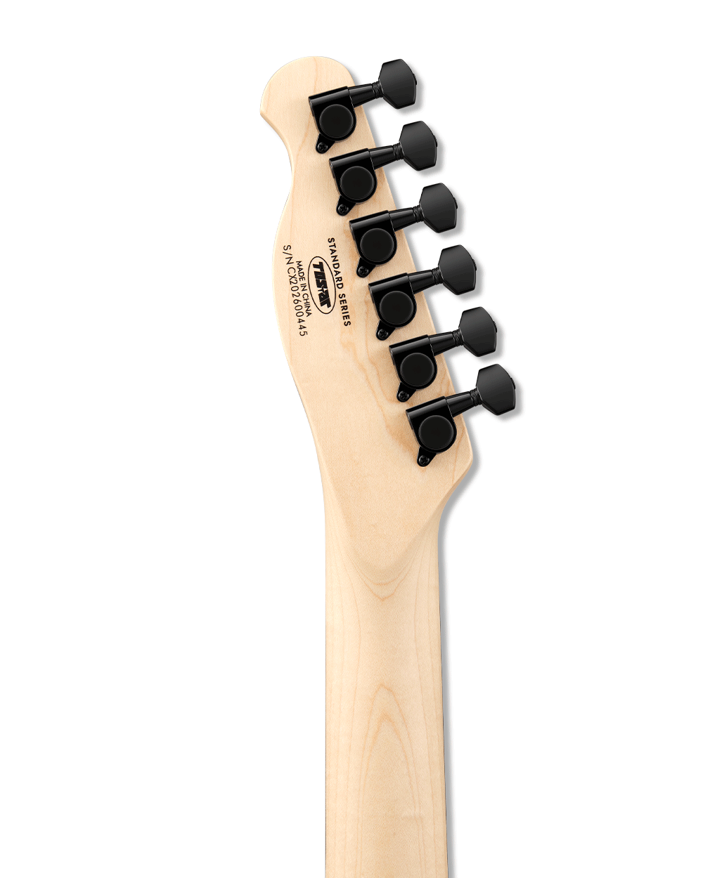 Tostar TTE-150 TE Electric Guitar Set
