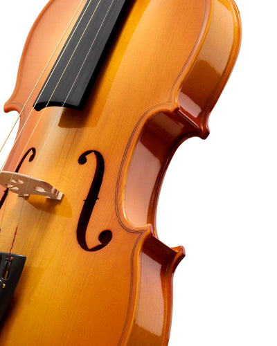 TOSTAR TVA-20 4/4 Full Size Violin for Beginners – Kit with Case, Bow & Gig Bag