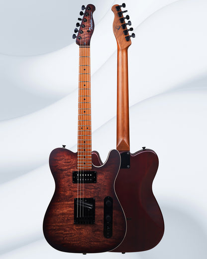 Tostar TTE-300 TE Electric Guitar
