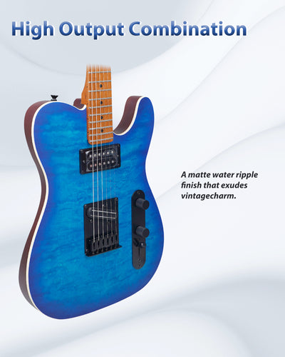 Tostar TTE-300 TE Electric Guitar