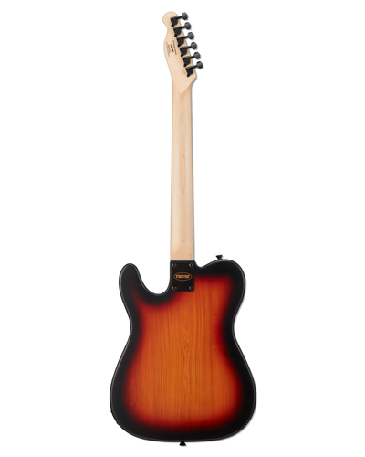Tostar TTE-150 TE Electric Guitar Set
