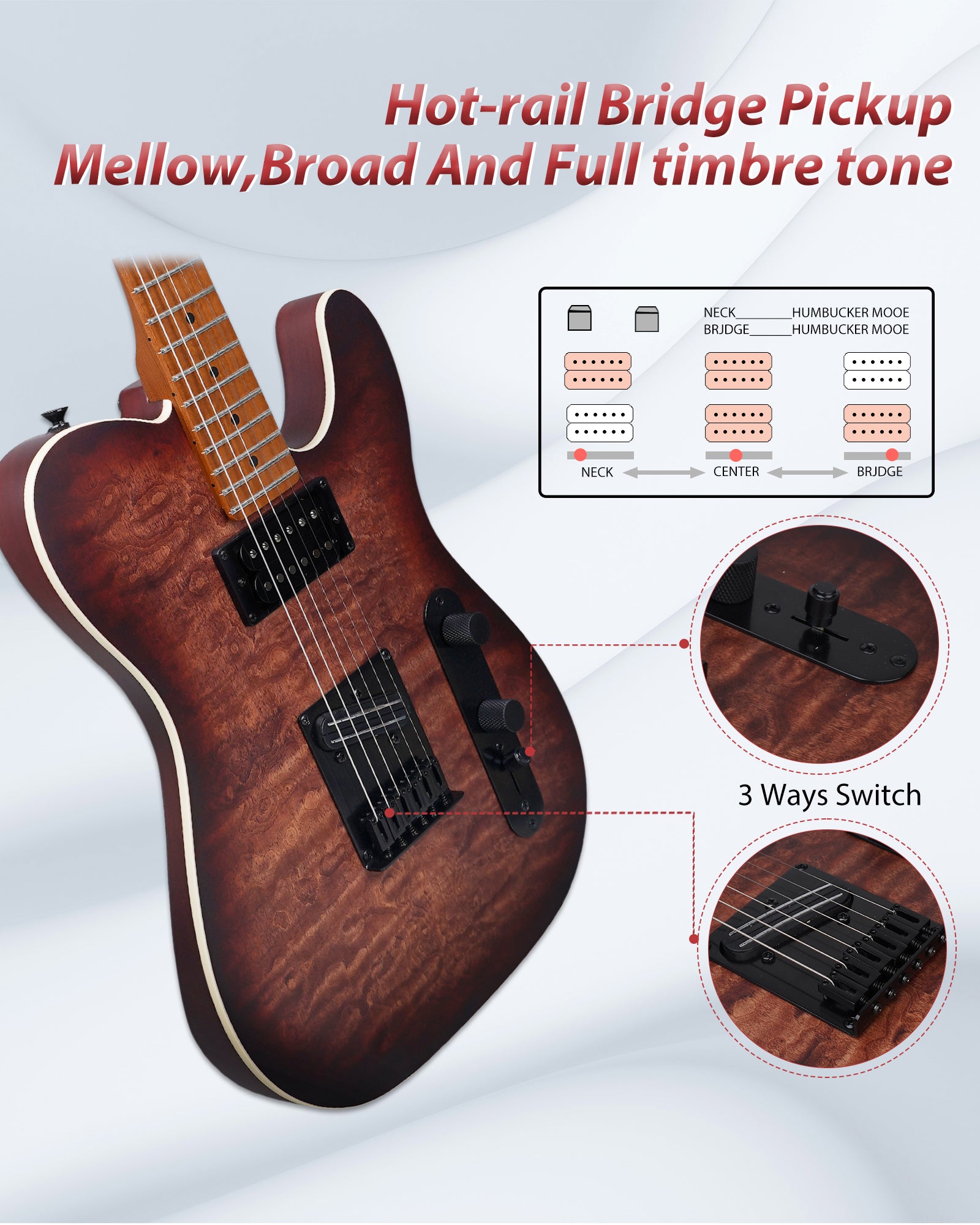 Tostar TTE-300 TE Electric Guitar