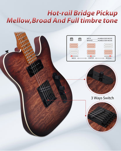 Tostar TTE-300 TE Electric Guitar