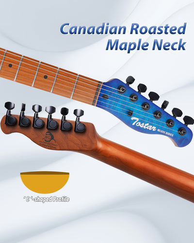 Tostar TTE-300 TE Electric Guitar