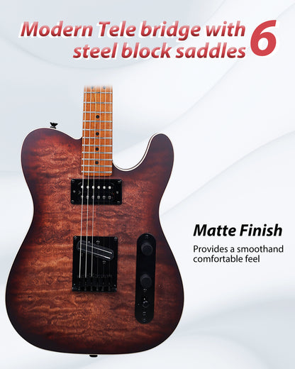 Tostar TTE-300 TE Electric Guitar