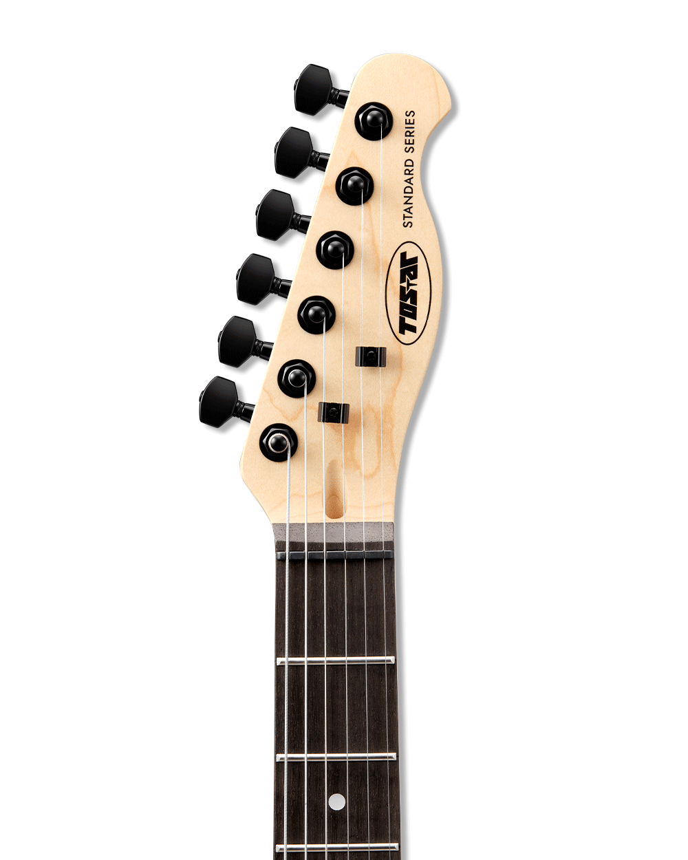 Tostar TTE-150 TE Electric Guitar Set