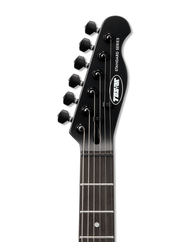 Tostar TTE-150 TE Electric Guitar Set