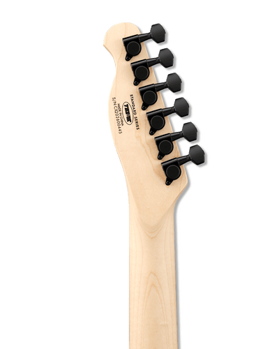 Tostar TTE-150 TE Electric Guitar Set