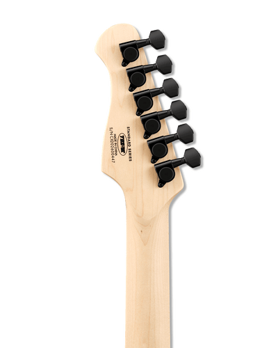 Tostar TJM-160 JM Electric Guitar Set