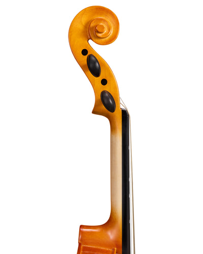 TOSTAR TVA-20 4/4 Full Size Violin for Beginners – Kit with Case, Bow & Gig Bag