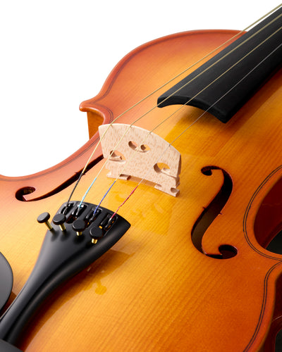 TOSTAR TVA-20 4/4 Full Size Violin for Beginners – Kit with Case, Bow & Gig Bag