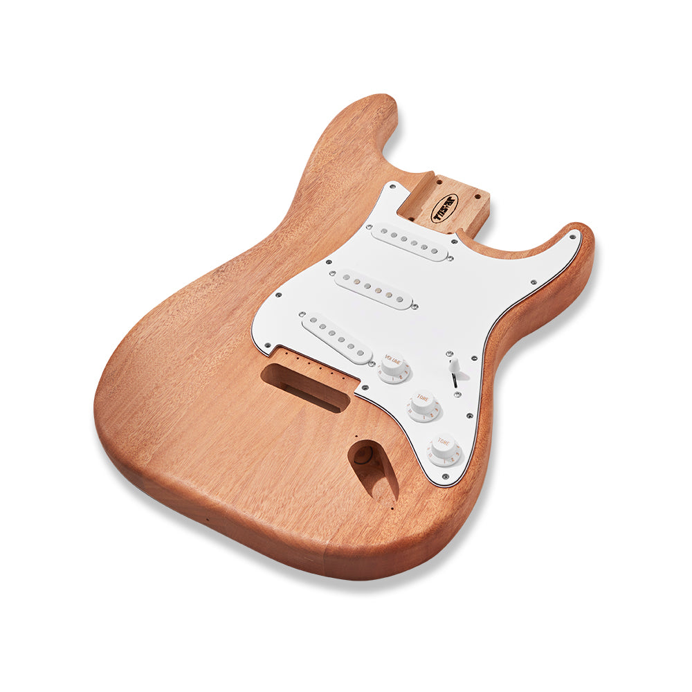 Tostar ST-Style DIY Electric Guitar Kit
